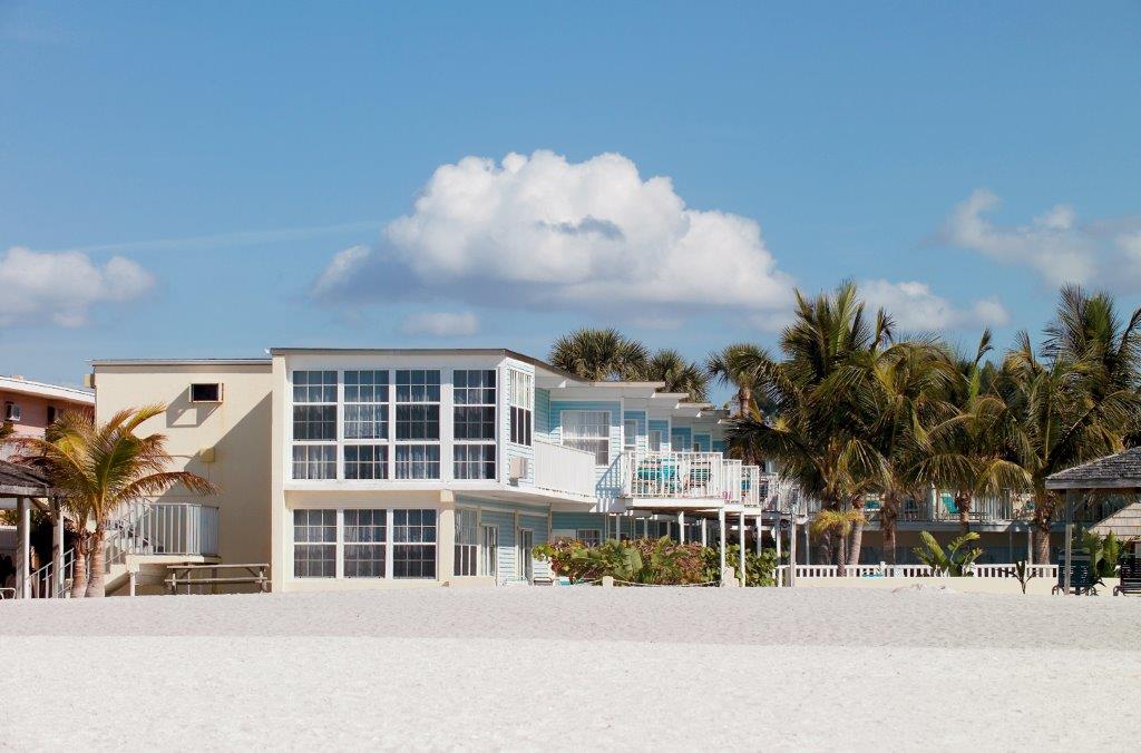 Coquina on the Beach